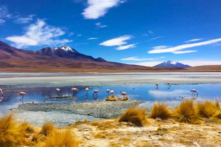 Uyuni Salt Flat 3 days private, Uyuni - Uyuni| hotel 3 ☆☆☆