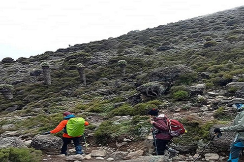 6 DAYS UMBWE ROUTE MOUNT KILIMANJARO TREKKING