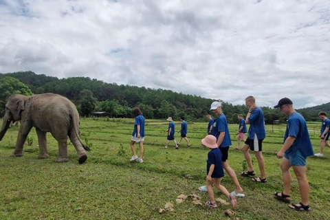 Chiang Mai: Full Day Living Green Elephant Sanctuary Chiangmai: Full Day Living Green Elephant Sanctuary