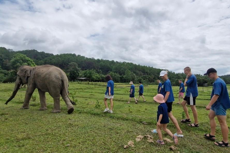 Chiang Mai: Full Day Living Green Elephant Sanctuary Chiangmai: Full Day Living Green Elephant Sanctuary