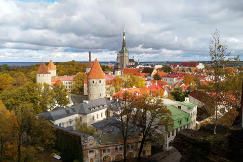 从赫尔辛基出发：塔林一日游（含轮渡和晚餐）