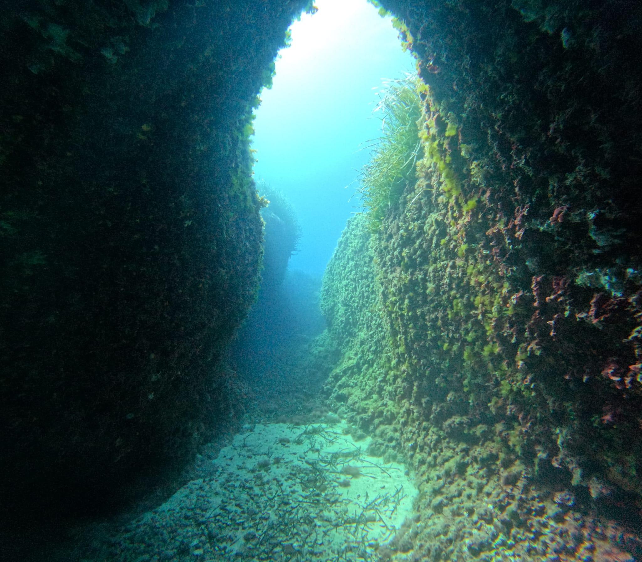 Menorca: Doppeltauchgang (WICHTIG: Zertifizierung ERFORDERLICH)