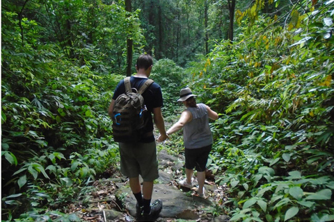 Sinharaja Rain Forest UNESCO Walk and Bird Watching Day Tour Sinharaja Endemics: Rain Forest UNESCO Bird Watching Day