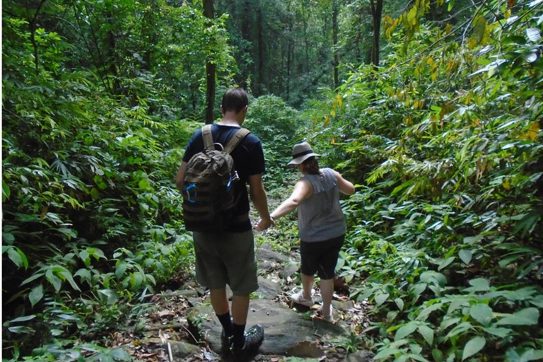 Sinharaja Rain Forest UNESCO Walk and Bird Watching Day Tour Sinharaja Endemics: Rain Forest UNESCO Bird Watching Day