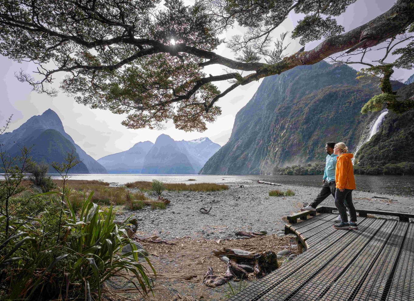 Fra Te Anau: Milford Sound bus, krydstogt og vandreture