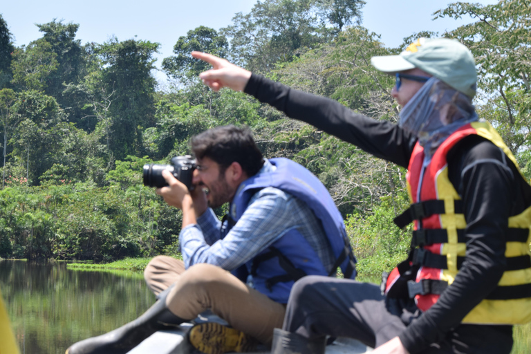 Explore Yasuní: 4-Day, 3-Night Getaway in a Standard Room Yasuní, 4 days and 3 nights. Standard room.