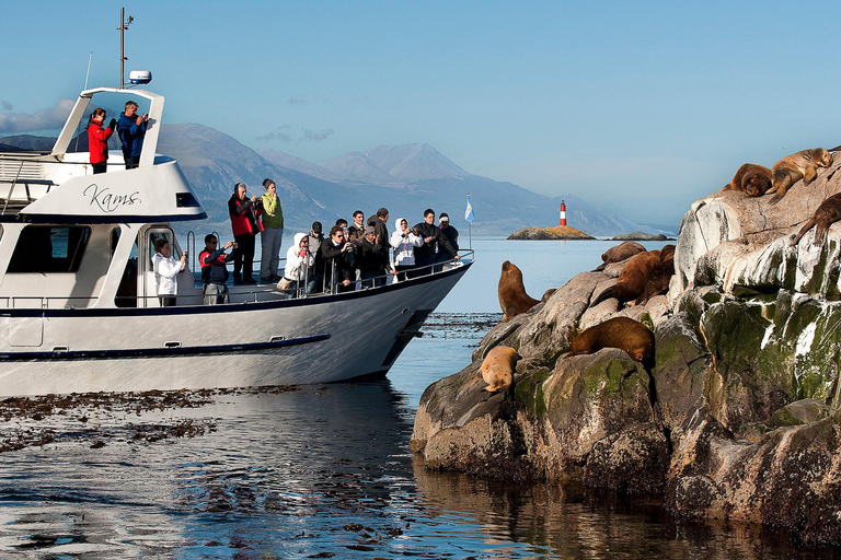 Ushuaia: Martillo Island Full-Day Tour – Walk Among Penguins