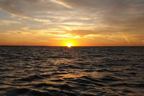 Tour dei fenicotteri Rio Lagartos, Yucatan 2 ore