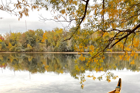 Toronto: Fall Colours Canoe Tour of the Toronto Islands Toronto: Fall Foliage Canoe Tour of the Toronto Islands