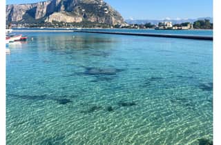 Private Tour mit dem Schnellboot (10:00-13:30 Uhr)