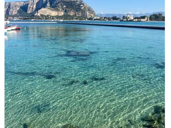 Private 4-hour speedboat tour (09:30-13:30)