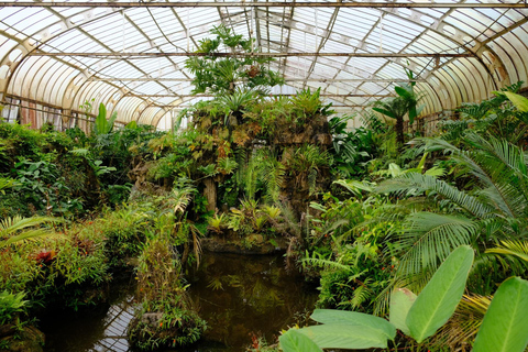 São Paulo Botanical Garden Private Guided Tour & Transport 3-hour: Botanical Garden Tour & Transport