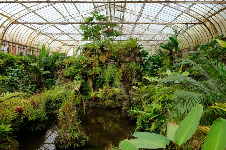 São Paulo Botanical Garden Private Guided Tour & Transport 3-hour: Botanical Garden Tour & Transport
