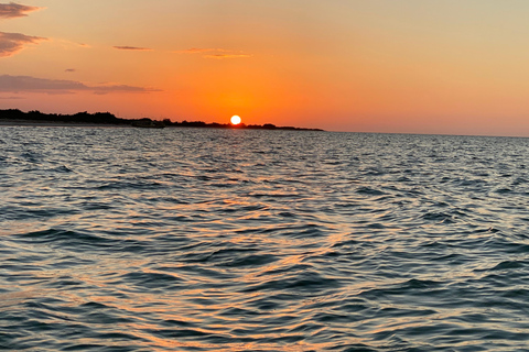 Natuurbelevenis Rio Lagartos en Las Coloradas.
