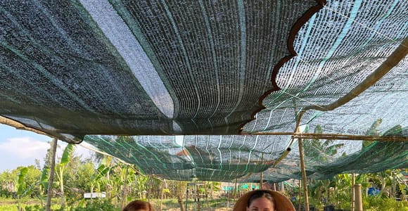 Hoi An Basket Boat Tour with Organic Farm & Animal Feeding