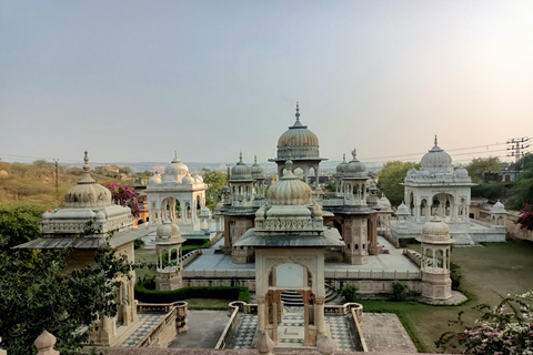 Jaipur: Sightseeing Privat dagstur med Tuk Tuk