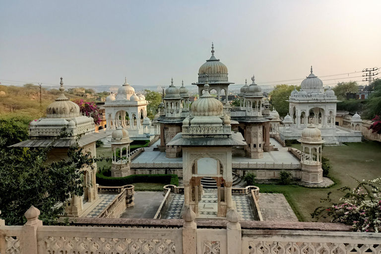 Jaipur: Sightseeing Privat dagstur med Tuk Tuk