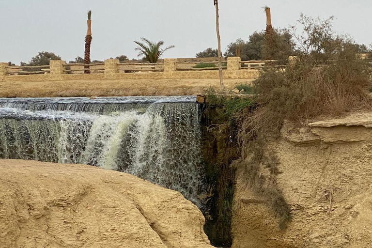 PAQUETE 4 DÍAS OASIS DE FAYOUM, DESIERTO BLANCO Y OASIS DE BAHARIYA