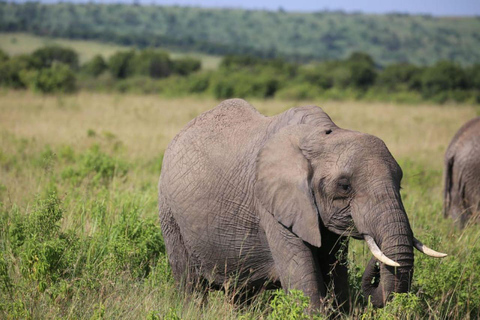 Nairobi : visite en groupe du parc national de Hell&#039;s Gate et du lac Naivasha