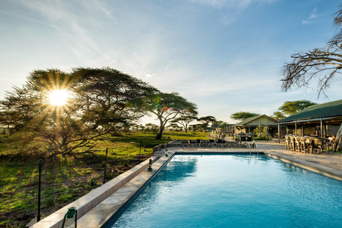 Zanzibar: Tarangire Overnight Safari with Night Game Drive