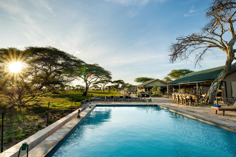 Zanzibar: Tarangire Overnight Safari with Night Game Drive