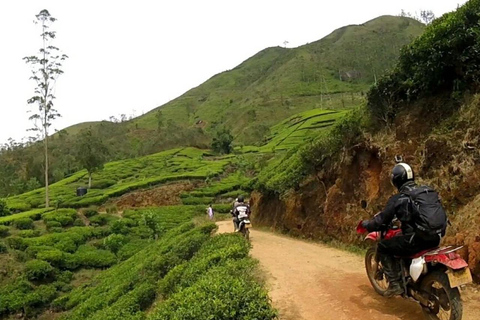 9 Day Sri Lanka Highlights Guided Motorcycle Tour