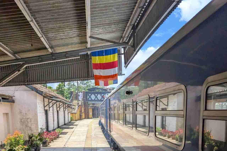 Beyond the Rails: Curated Scenic Journey from Kandy to Ella