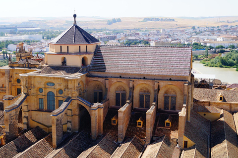 Cordoba - Private Tour including visit to the Fortress