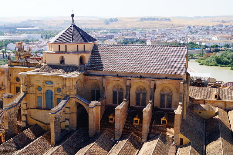 Cordoba - Privé tour inclusief bezoek aan het fort