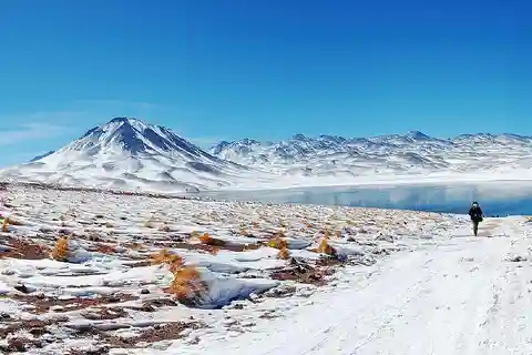 San Pedro de Atacama: Tatio Geysers Tour