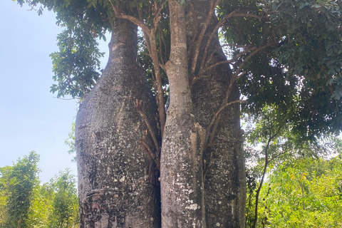 Ukryty klejnot Zanzibaru: Całodniowa przygoda na wyspie Uzi