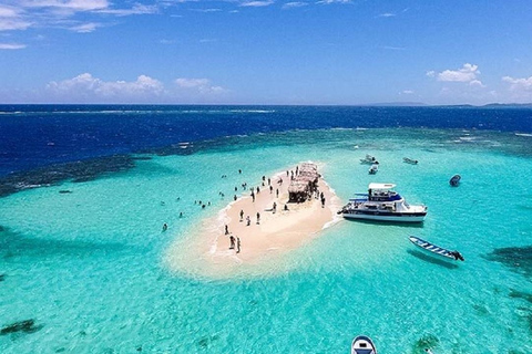 Puerto Plata: Excursion to Cayo Arena, Snorkeling, and Mangroves