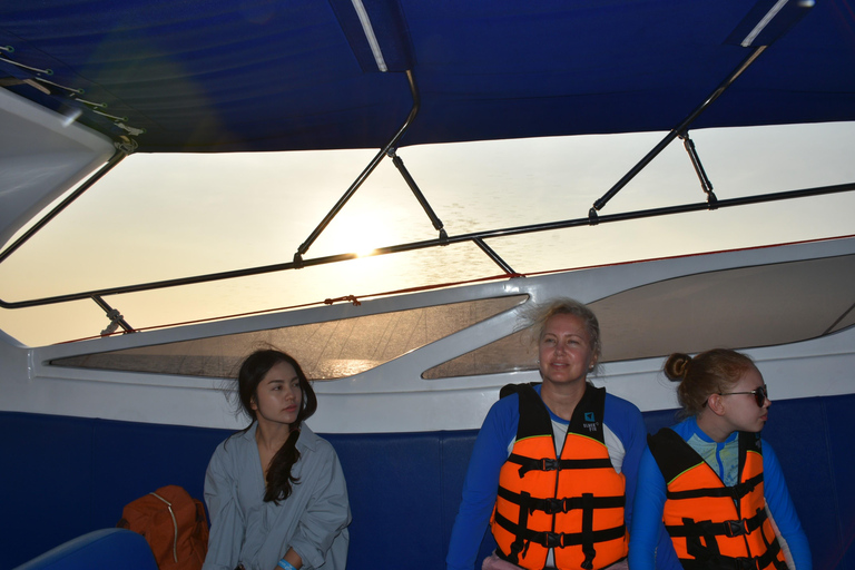 Krabi: Phi Phi e Maya Bay definitivas de lancha rápida