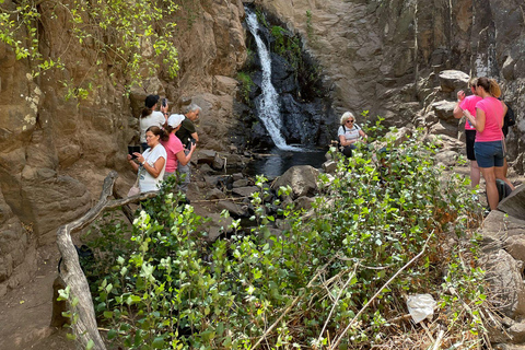 Gran Canaria: excursie naar de Barranco de los CernícalosGran Canaria: trip naar de Barranco de los Cernícalos