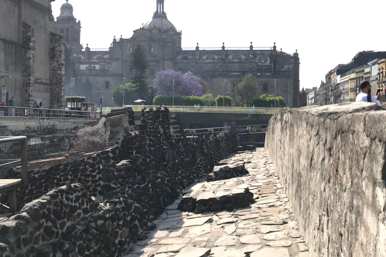 Mexico : Visite VIP du centre historique avec le Templo Mayor ...