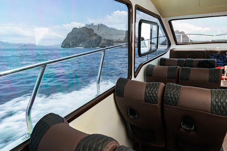Premium Komodo Day Cruise with Tour Guide & GoPro Camera