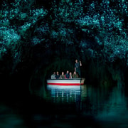 Auckland: Waitomo Caves & Rotorua - Te Puia Small-Group Tour Auckland: Waitomo Caves & Rotorua - Te Puia Small-Group Tour