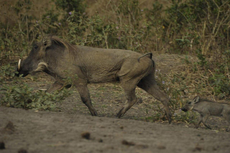 3 Days Lake Mburo National Park Safari Tour, Uganda