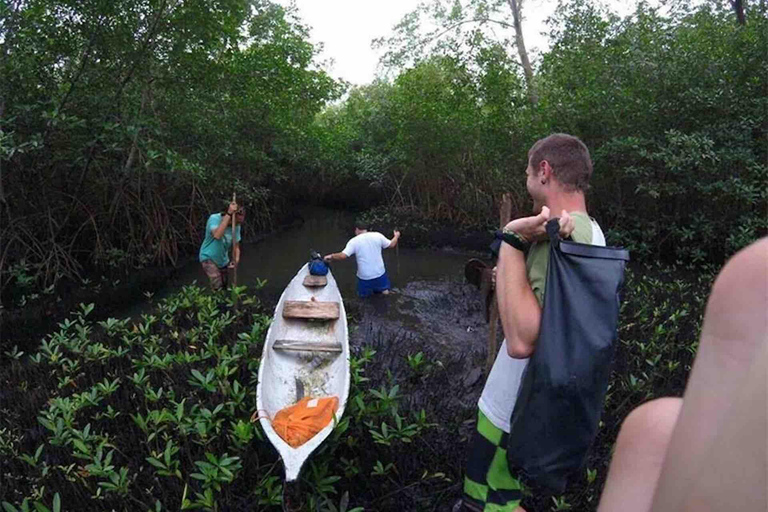 Panama City: Portobelo Jungle, Reef & Venas Azules Tour