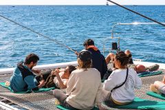Do Funchal: Excursão de Observação de Golfinhos e Baleias da Madeira