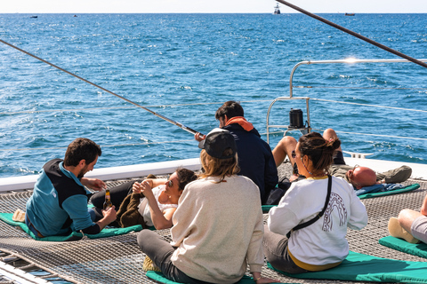 Desde Funchal: tour de avistamiento delfines y ballenas