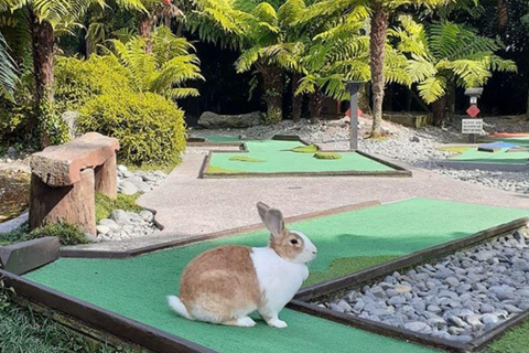 Rotorua: Upplevelse av minigolf