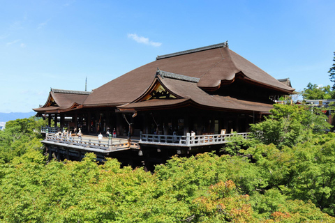 Kyoto: Private City Highlights Tour by Car