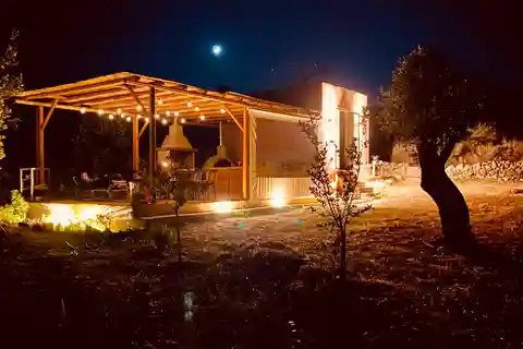 Naxos : Soirée barbecue privée dans l'oliveraie