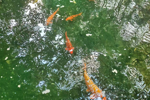Hangzhou: West Lake Half-Day Tour with Boat Ride