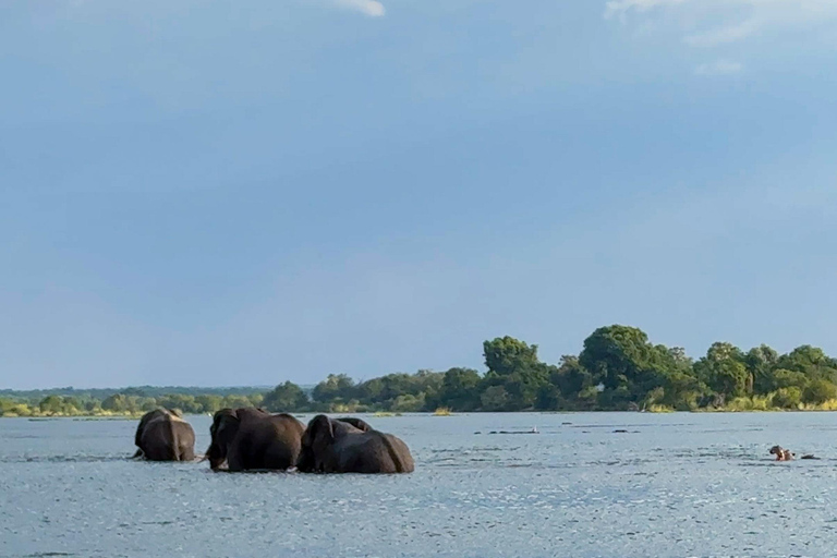 Victoria Watervallen: Cruise bij zonsondergang op de Zambezi rivier