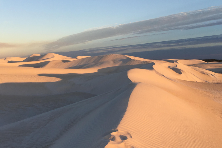 Pinnacles Desert Private Tour
