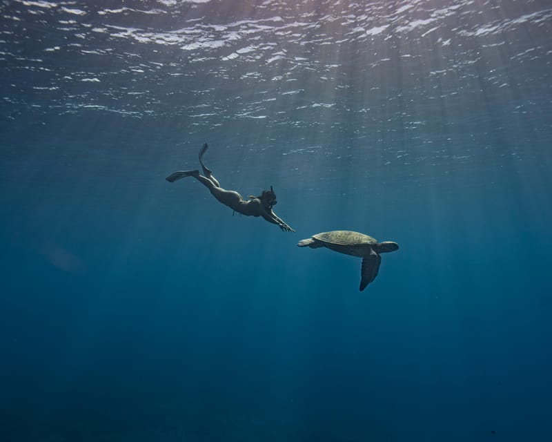 Shooting photo sous-marin à Tahiti