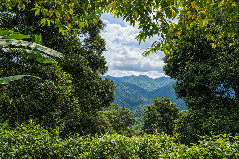 Chiangmai S : Guided ATV Adventure with Waterfalls & Temples