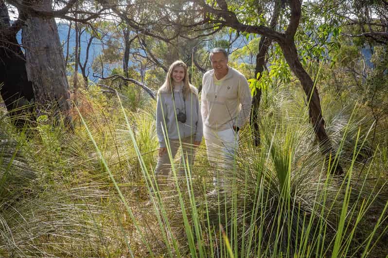 Horse Riding, Koalas & Kangaroos - Wild Australia | GetYourGuide